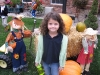 lilpumpkins01.jpg