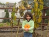 lilpumpkins07.jpg