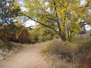 Fun Fall Family Walk